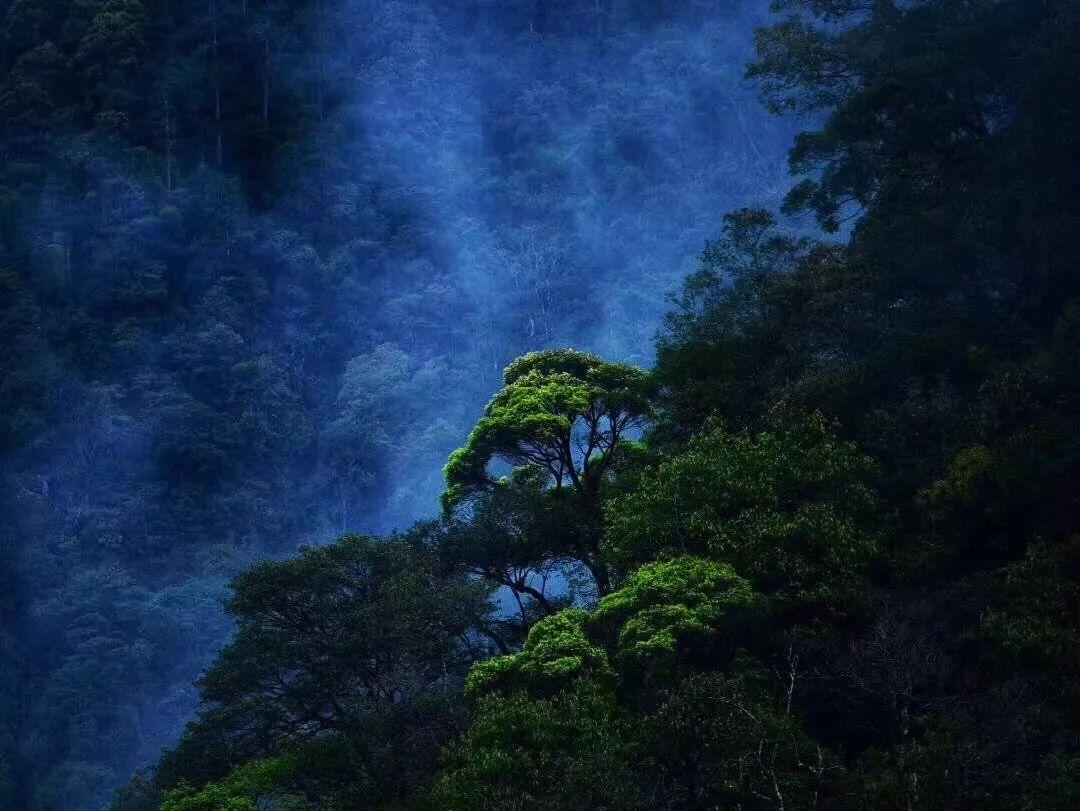 秘密花园找不同