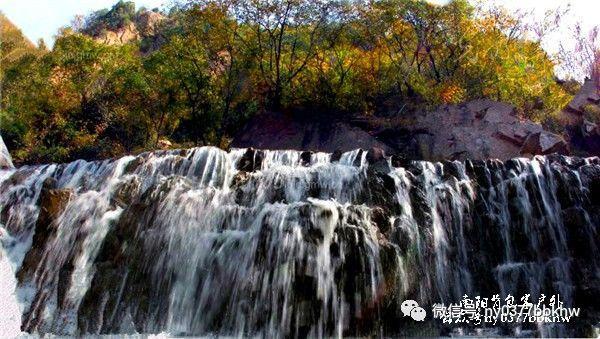掌握答案,开启知识问答之旅-为什么苹果在水果中占有很高的地位?问答网