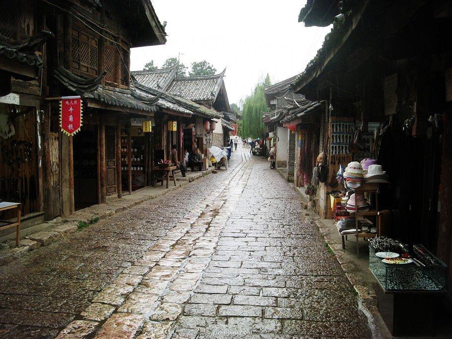 聚生命色彩，让爱不流浪