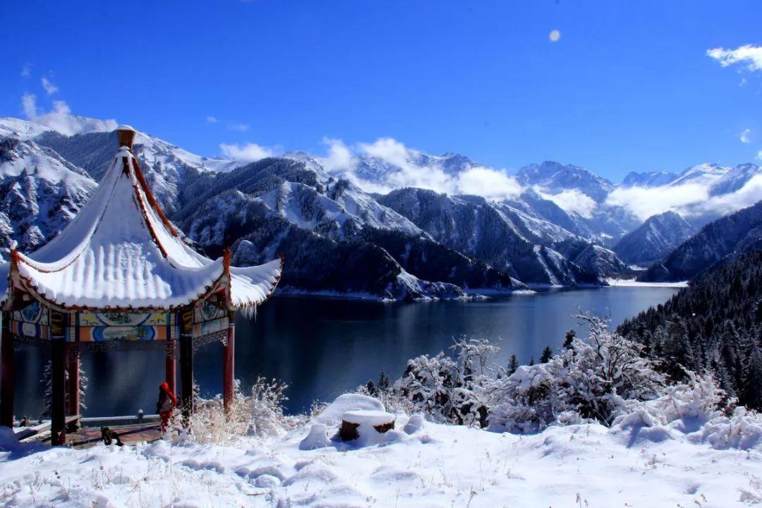 国务院成立江西新余佳乐苑临街店铺“1·24”特别重大火灾事故调查组